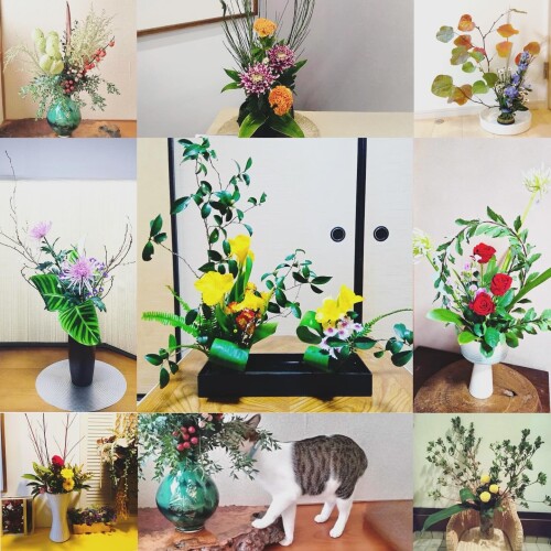 BA464266-8A86-4522-84F5-953F80A4A971