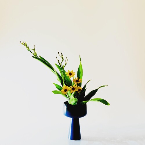 BF5BB707-317C-4365-AD9B-35742A4C5BF5