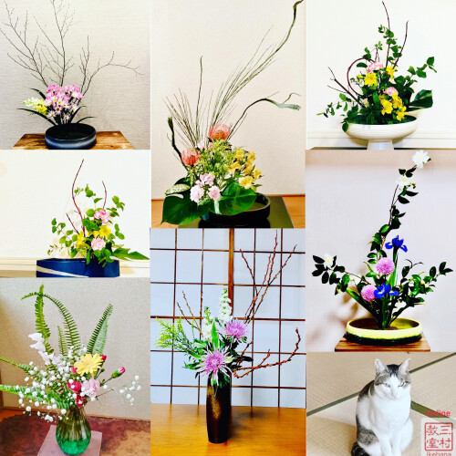 C3418641-8A63-494A-A3D6-8098D9B99ED0