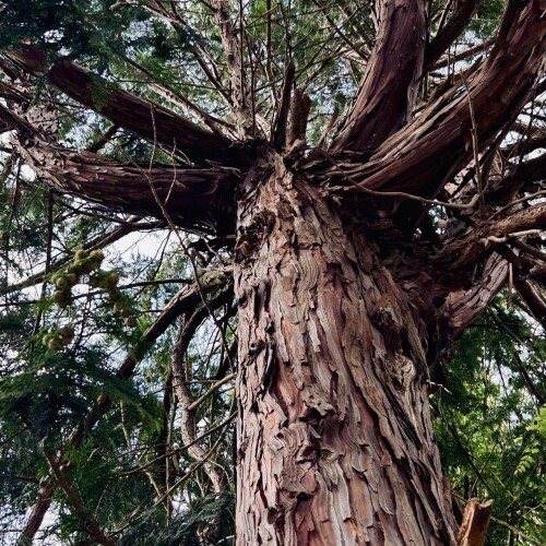 C38B6CD6-65AB-465D-8784-D491617F7470