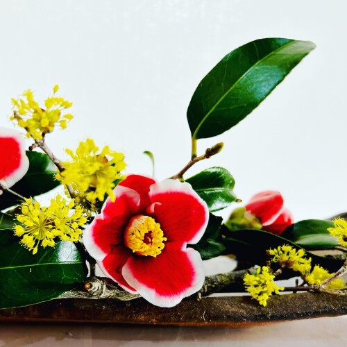 C5CC4C22-15EA-4D5B-A722-D366F23A539F