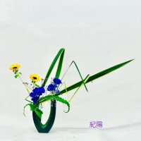 C7FCD3FF-38A8-474F-AD46-CE013C5831CD