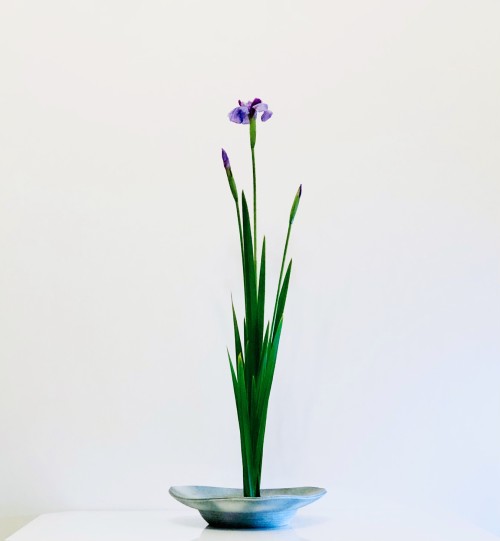 CE93B9A2-8204-4152-BAA3-F1FF9A0EEAC4