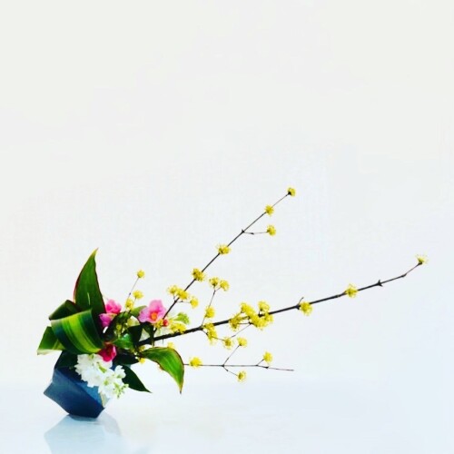 D1F8FFDE-0E32-4676-BA53-658DDA22CC8A