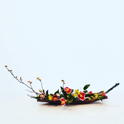 D492BA1E-45F2-477C-A092-C263EA602D84