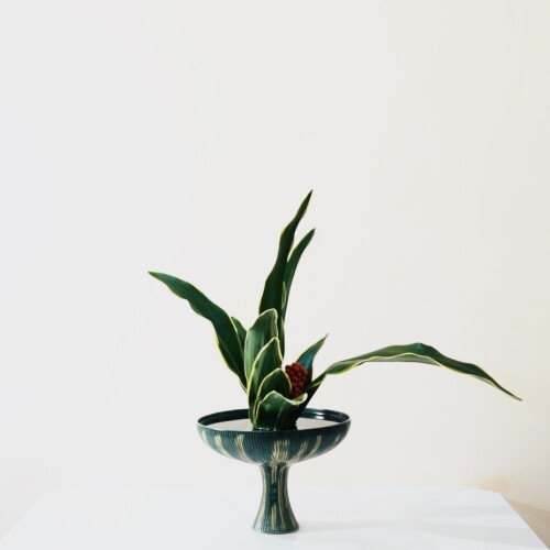 D4D74CD3-E08D-456B-81FD-5473377A01CA