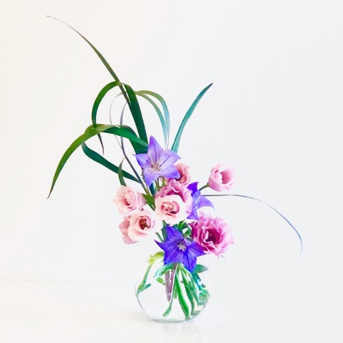 D62E2446-895C-4114-976A-92157056921D