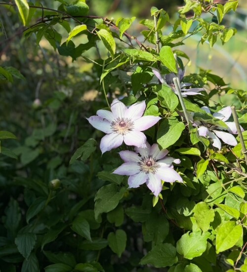 D861B3F0-976B-473B-A7CD-A1A3C267D08D