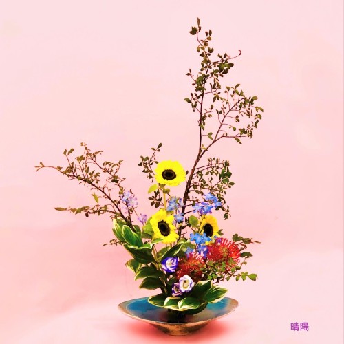 DB9CC1A1-C68B-4C59-ACCE-FDD3DD254B23