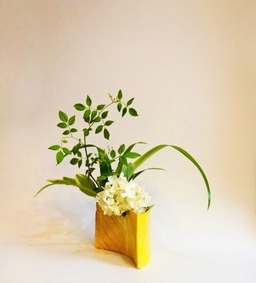 DDC39ABF-F722-4AE5-8D0F-7EBBB74FDCD9