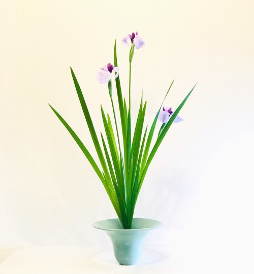 DE177AC6-4264-4D15-A06F-9EB9B45A603F