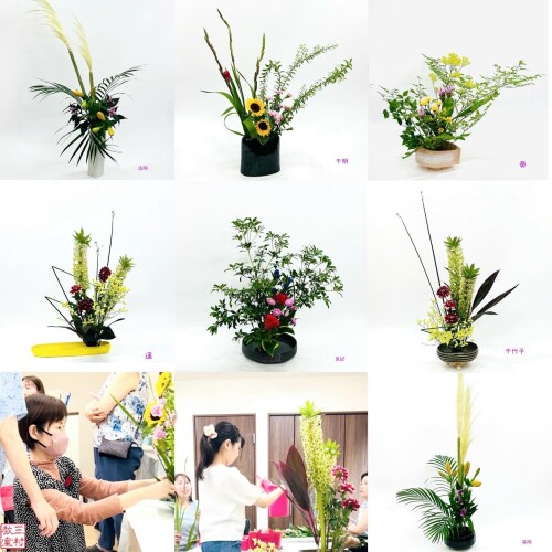 E28F11B2-C884-431F-8691-23DA25C4DB6A