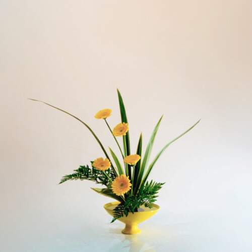 E4CB15B1-01EA-4843-9AC1-75961ACDDFCD