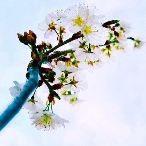 E4E9CB7F-8190-4D6A-85A3-0ABF61CE4E69