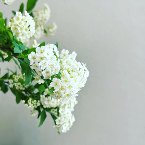 E4EDF7A3-67FE-4630-B316-A5A54F532821