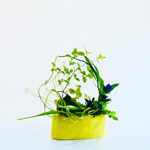 E65C67F7-0683-45BE-B5EE-C83F0B01BC45