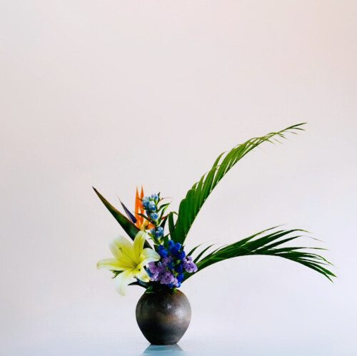 EC1E0B4D-1CAA-45A4-A430-C4412DB410BC