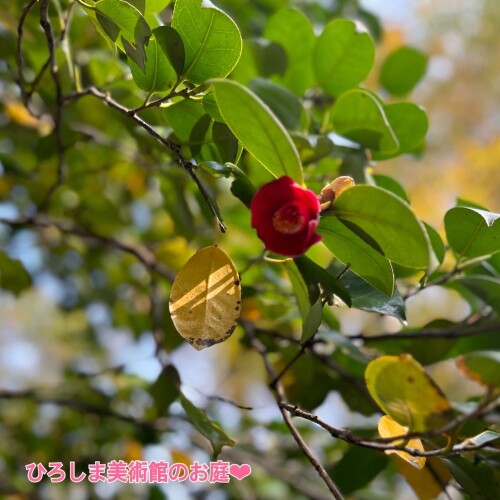 F2527E55-ABFD-43C3-B1CC-AF3C177FA291