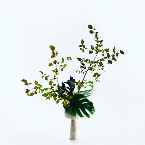 F43E0E0E-8004-4191-BD67-37745BF0DA51