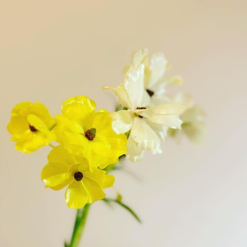 F664B0B8-5CBC-4544-A639-699F9DE00969