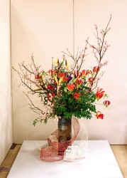 華陽　嘉陽　弓陽　由陽