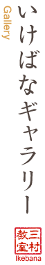 いけばなギャラリー