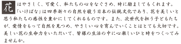 花はやさしく、可愛く、私たちの心をなぐさめ、時に励ましてもくれます。「いけばな」は四季折々の自然を敬う日本の伝統文化であり、花を美しいと思う私たちの感性を豊かにしてくれるものです。また，次世代を担う子どもたちが、愛情をもって自然を見つめ、やさしい心を育んでいくことはとても大切です。美しい花の生命力をいただいて、皆様の生活の中に心楽しいひと時をつくってみませんか。